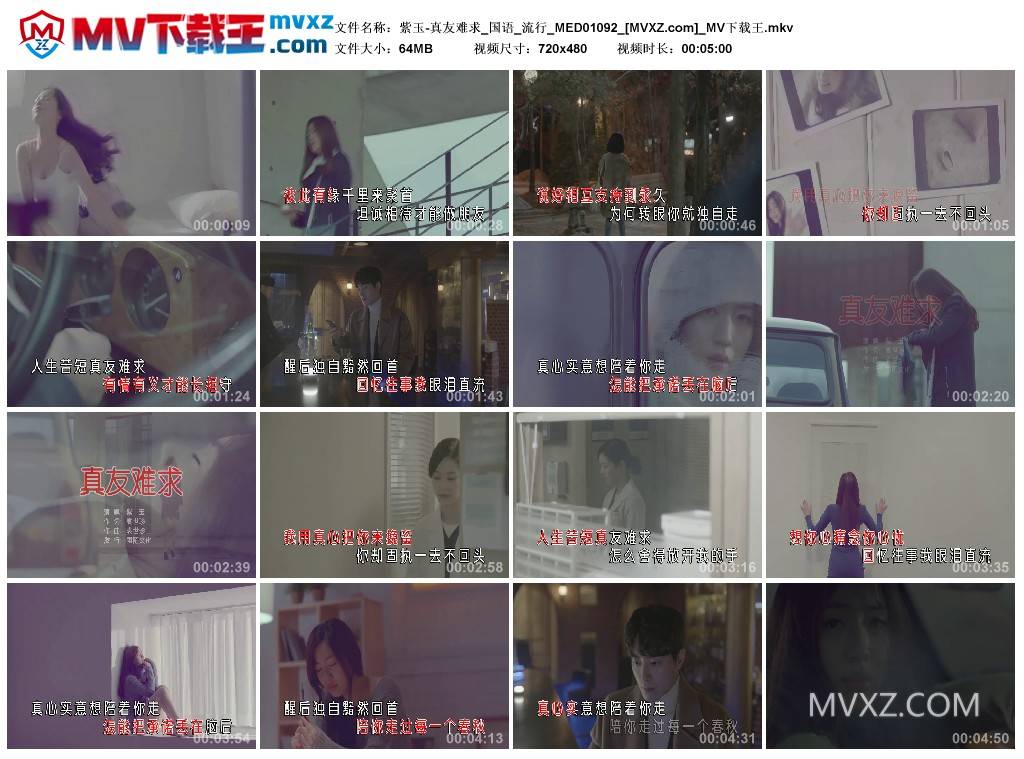 紫玉-真友难求_国语_流行_MED01092